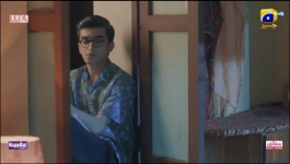 Sunn Mere Dil - Episode 17 - 29th November 2024